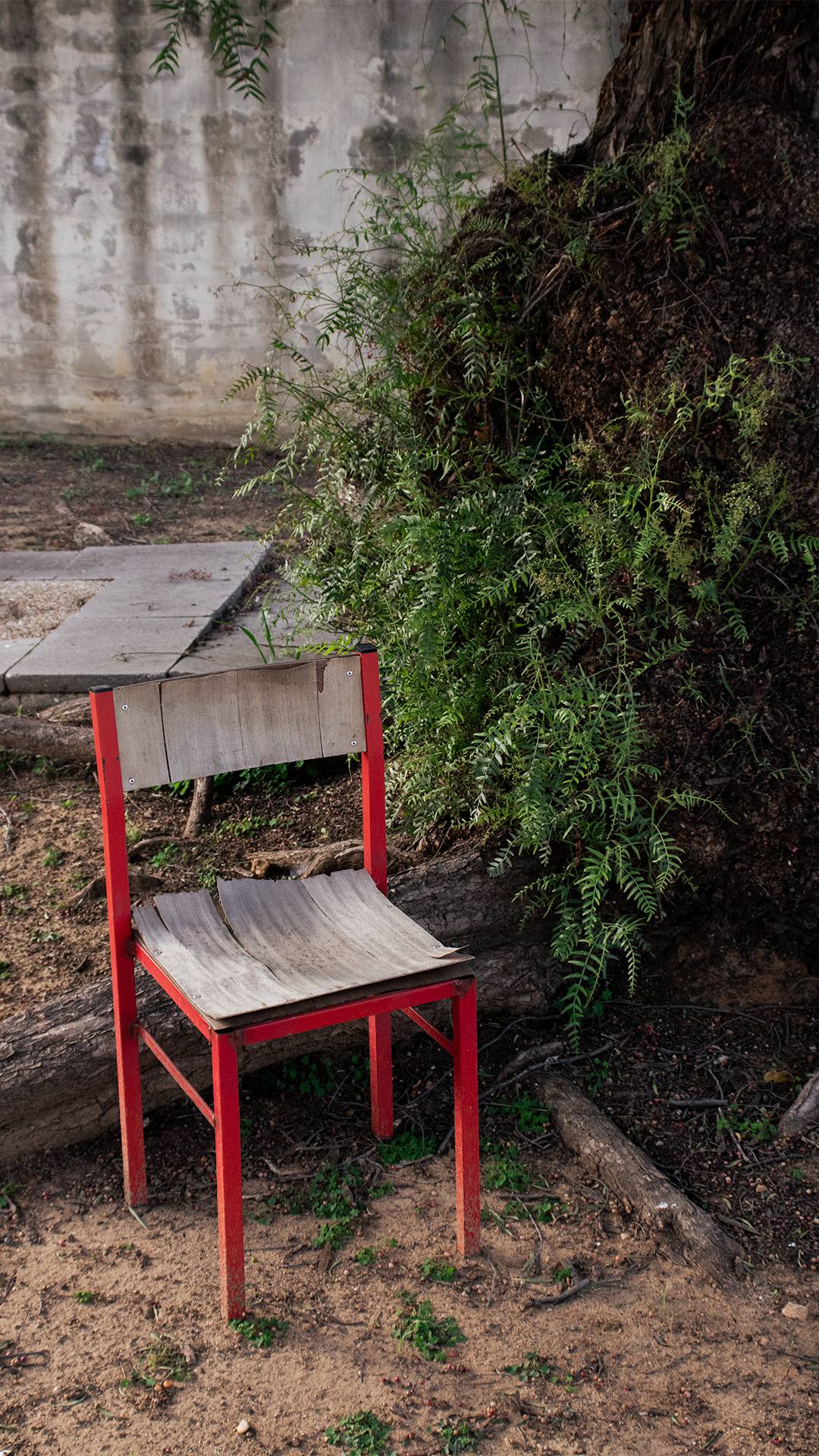 Objecto encontrado no sul de Portugal — fotografia de autor Cloverprints
